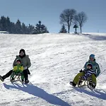 Felsenhof 4* Flachau