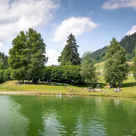 Otel Felsenhof Flachau