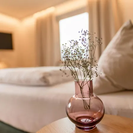 Felsenhof Hotel Flachau