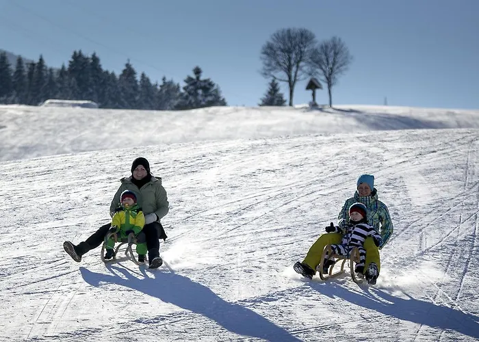 Felsenhof 4* Flachau